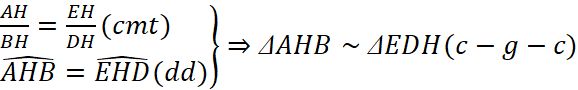 1. NHẬN BIẾT (5 câu)