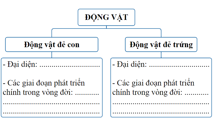 I. YÊU CẦU CẦN ĐẠT