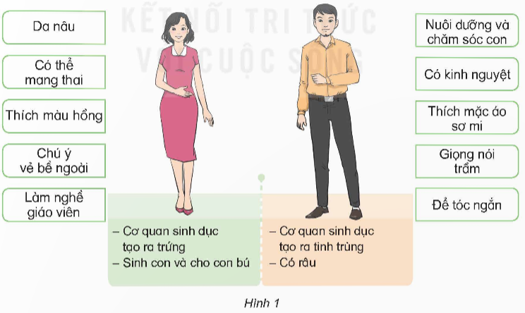 I. YÊU CẦU CẦN ĐẠT