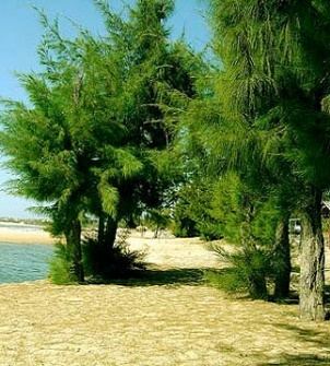 I. YÊU CẦU CẦN ĐẠT