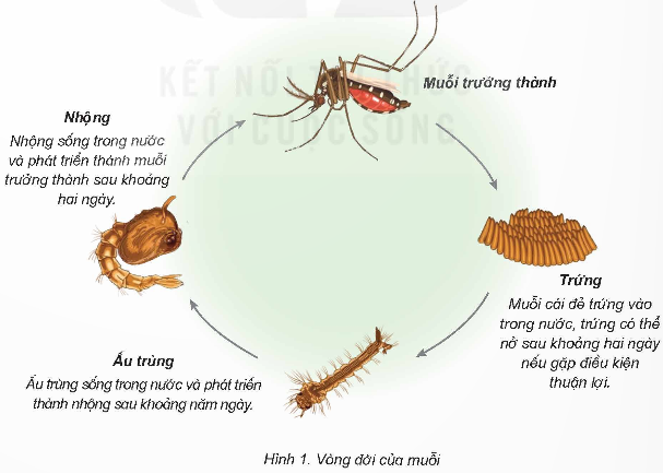 I. YÊU CẦU CẦN ĐẠT