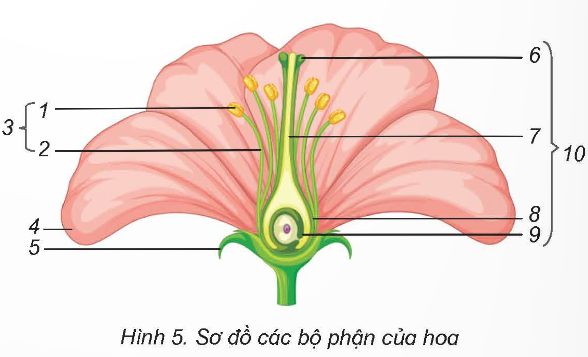 I. YÊU CẦU CẦN ĐẠT