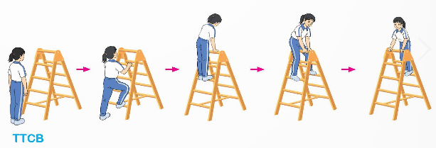I. MỤC TIÊU
