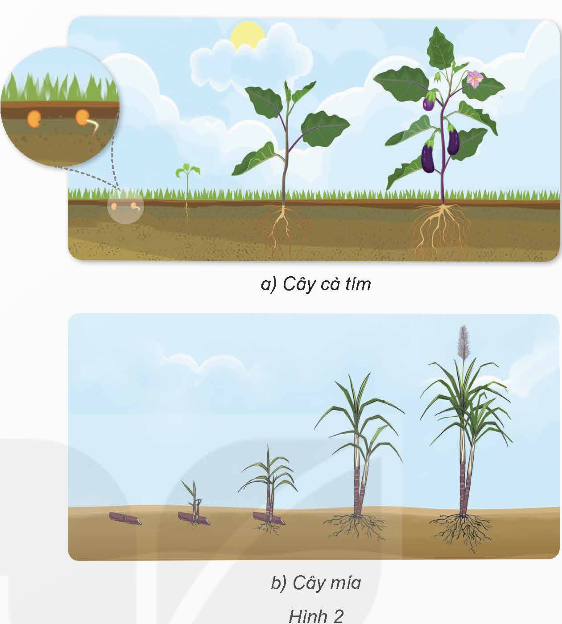 I. YÊU CẦU CẦN ĐẠT