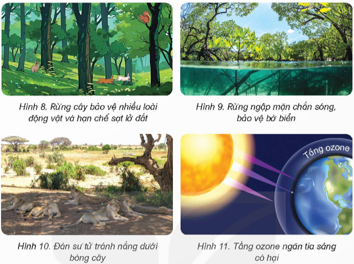I. YÊU CẦU CẦN ĐẠT