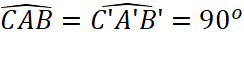 1. NHẬN BIẾT (5 câu)