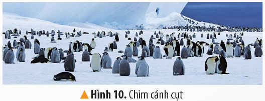 I. YÊU CẦU CẦN ĐẠT