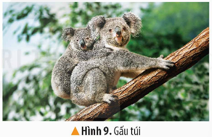 I. YÊU CẦU CẦN ĐẠT