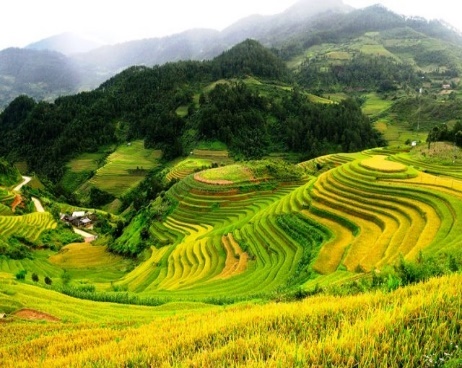I. YÊU CẦU CẦN ĐẠT