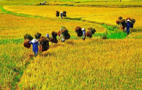 I. YÊU CẦU CẦN ĐẠT