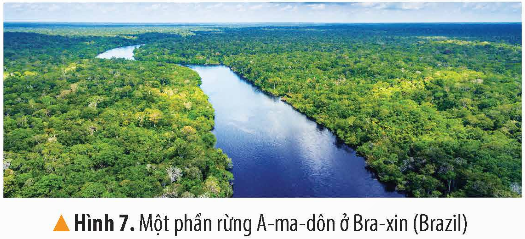 I. YÊU CẦU CẦN ĐẠT