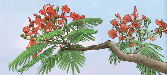 I. YÊU CẦU CẦN ĐẠT