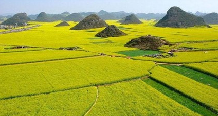 I. YÊU CẦU CẦN ĐẠT