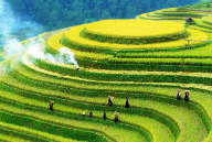 I. YÊU CẦU CẦN ĐẠT