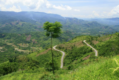 I. YÊU CẦU CẦN ĐẠT