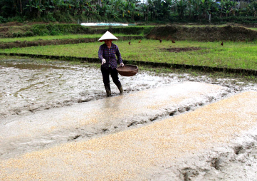 I. YÊU CẦU CẦN ĐẠT