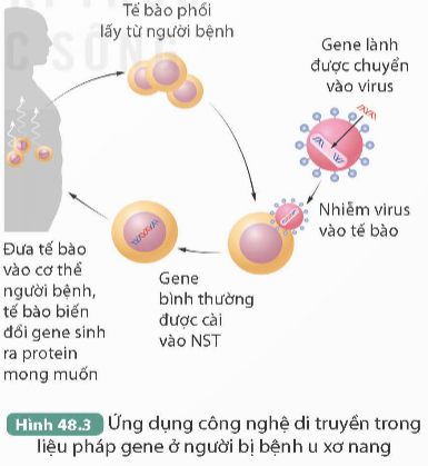 I. MỤC TIÊU