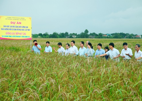 I. MỤC TIÊU