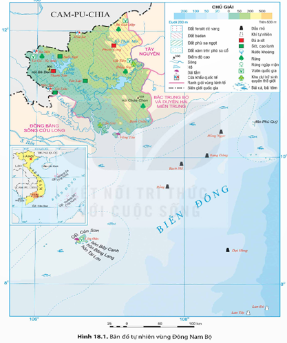 I. MỤC TIÊU