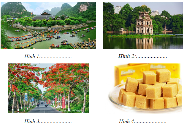 I. MỤC TIÊU