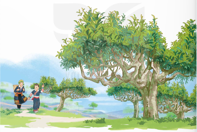 I. YÊU CẦU CẦN ĐẠT