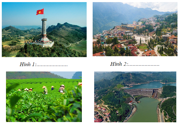 I. MỤC TIÊU