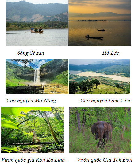 I. MỤC TIÊU