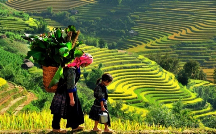 I. MỤC TIÊU BÀI HỌC