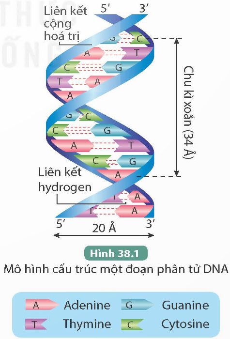 I. MỤC TIÊU