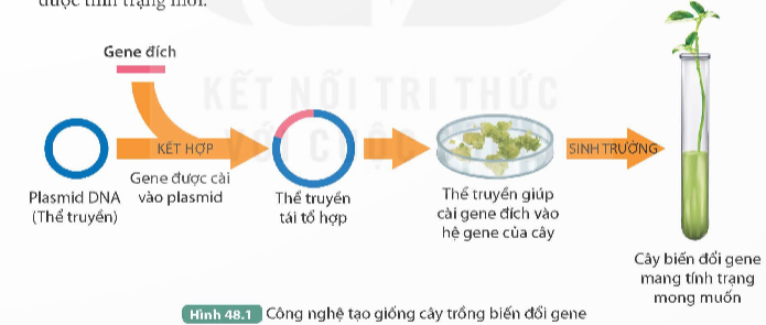 I. MỤC TIÊU