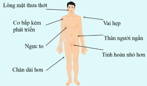 I. MỤC TIÊU