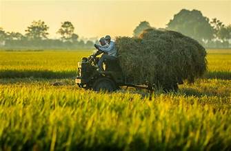 I. YÊU CẦU CẦN ĐẠT
