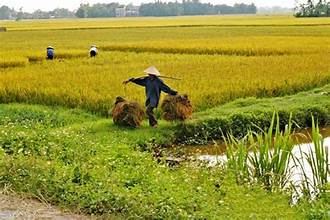 I. YÊU CẦU CẦN ĐẠT
