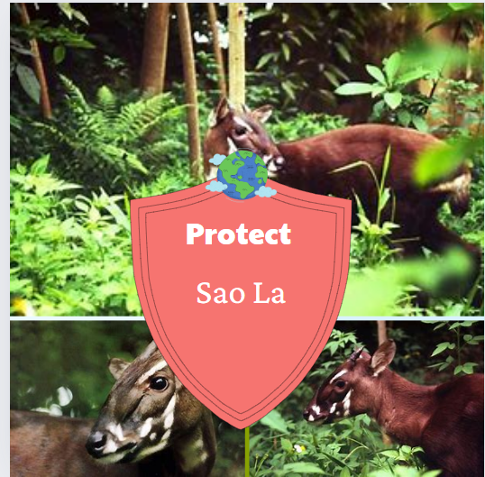 UNIT 8: Wildlife conservation