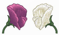 I. MỤC TIÊU