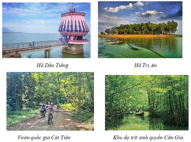 I. MỤC TIÊU