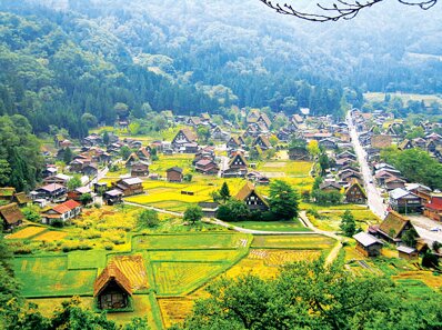 I. MỤC TIÊU BÀI HỌC