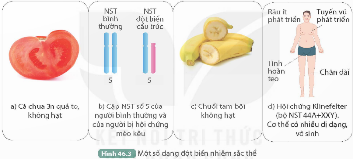 I. MỤC TIÊU