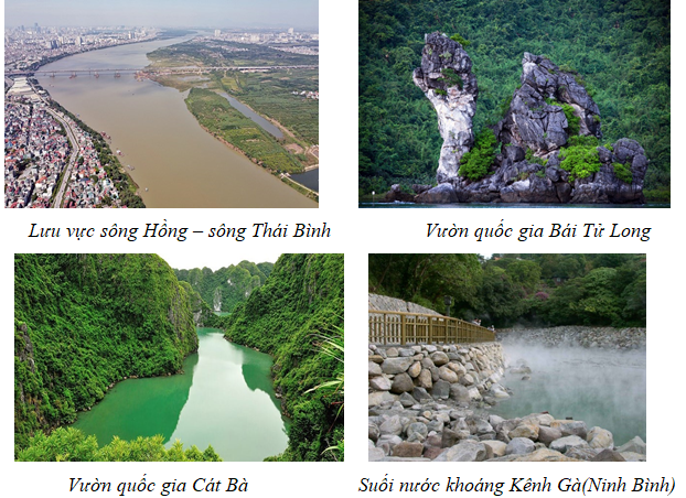 I. MỤC TIÊU