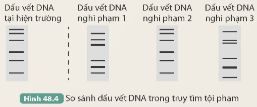 I. MỤC TIÊU