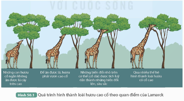 I. MỤC TIÊU
