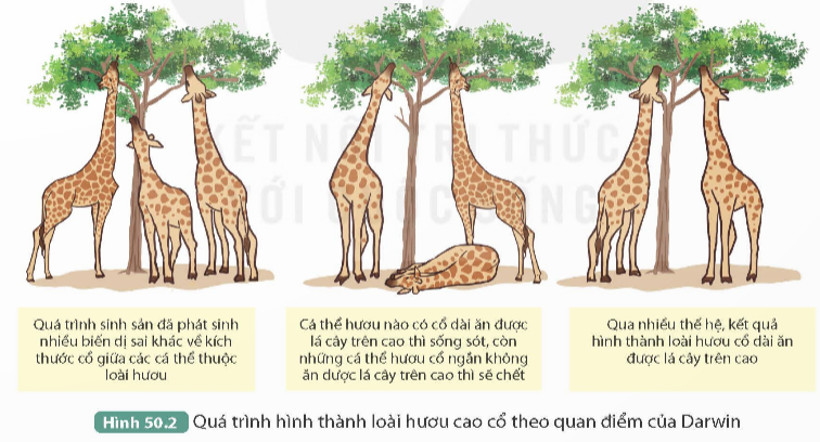 I. MỤC TIÊU
