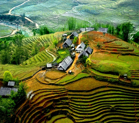 I. MỤC TIÊU BÀI HỌC