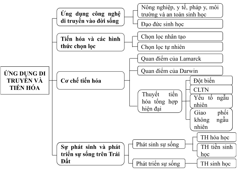 I. MỤC TIÊU
