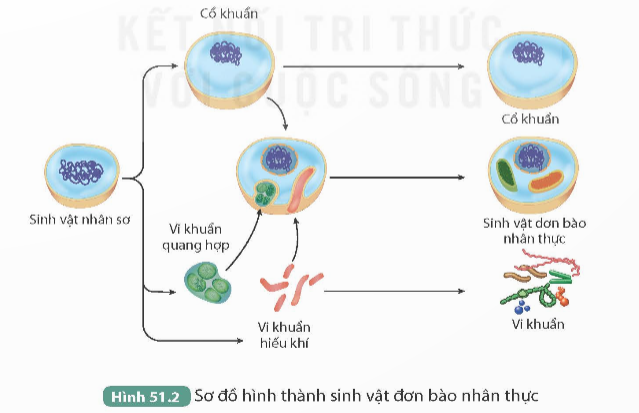 I. MỤC TIÊU