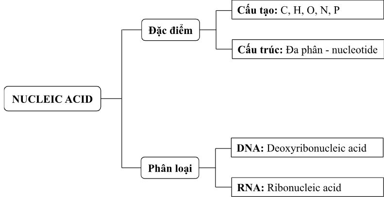 I. MỤC TIÊU