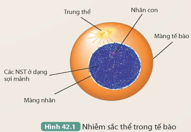 I. MỤC TIÊU