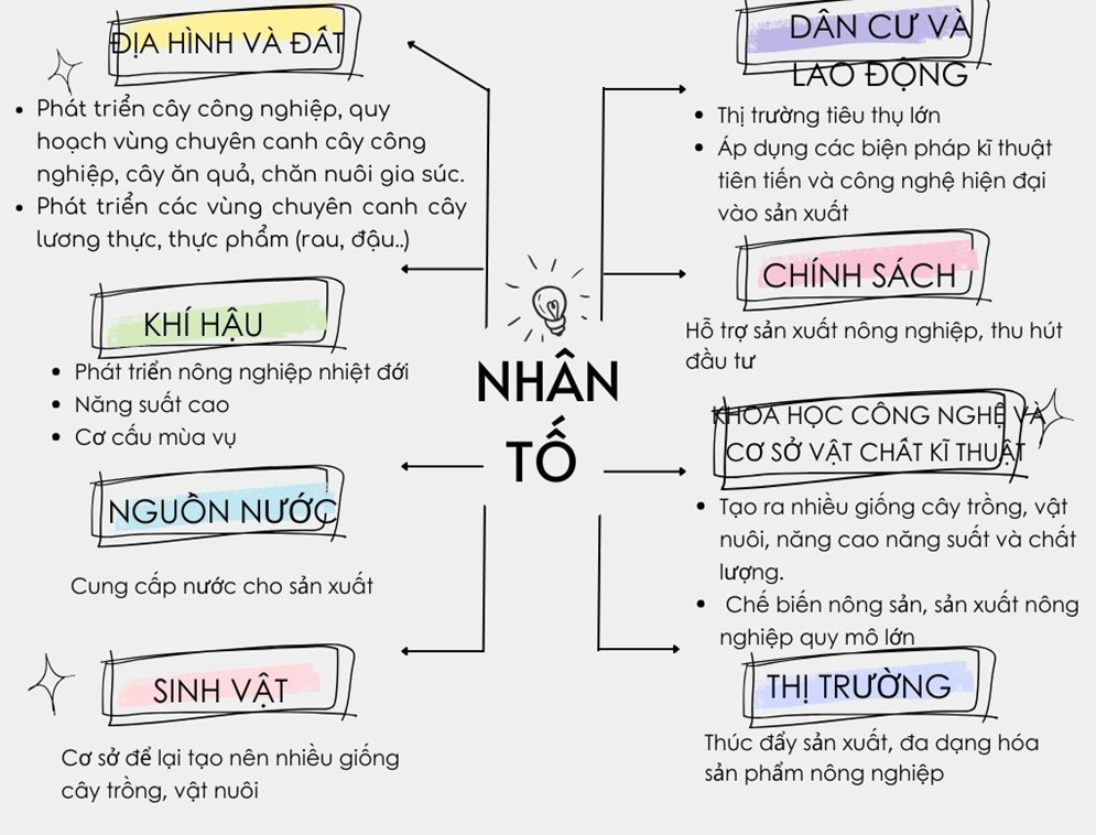 I. MỤC TIÊU