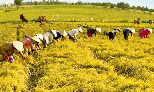 I. MỤC TIÊU BÀI HỌC