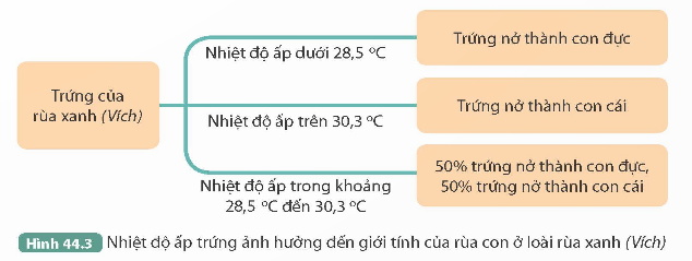 I. MỤC TIÊU